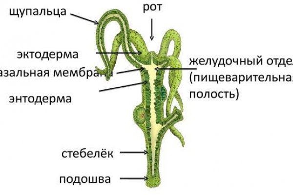 Кракен ссылка маркет vtor run